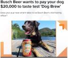 【米ビール製造会社】犬用ビール開発のために犬の社員を募集