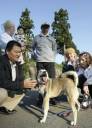 【新潟】あれから5年、山古志の母犬マリは元気です